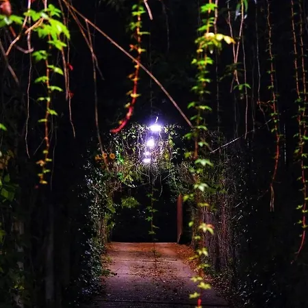 Harmónia Tahitótfalu *